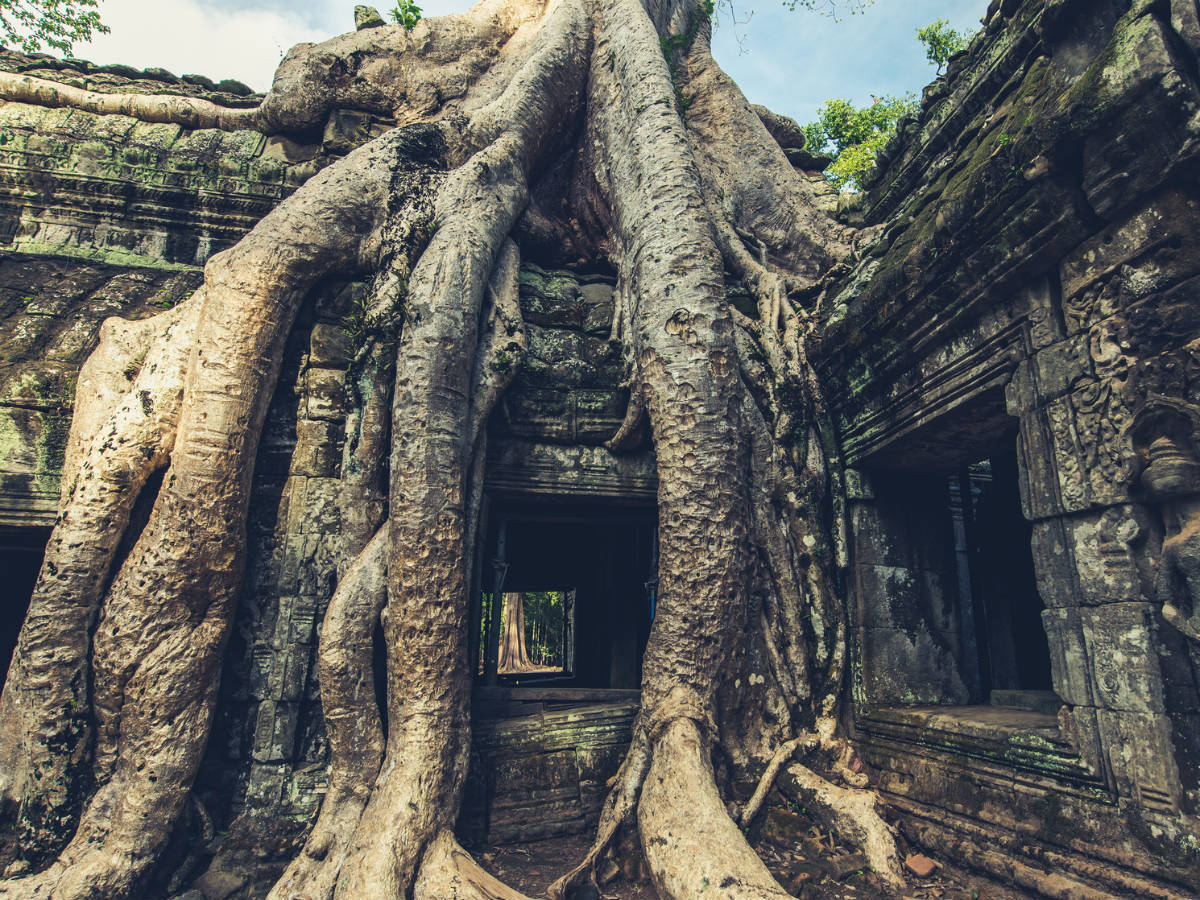 angkor wat cambodia
