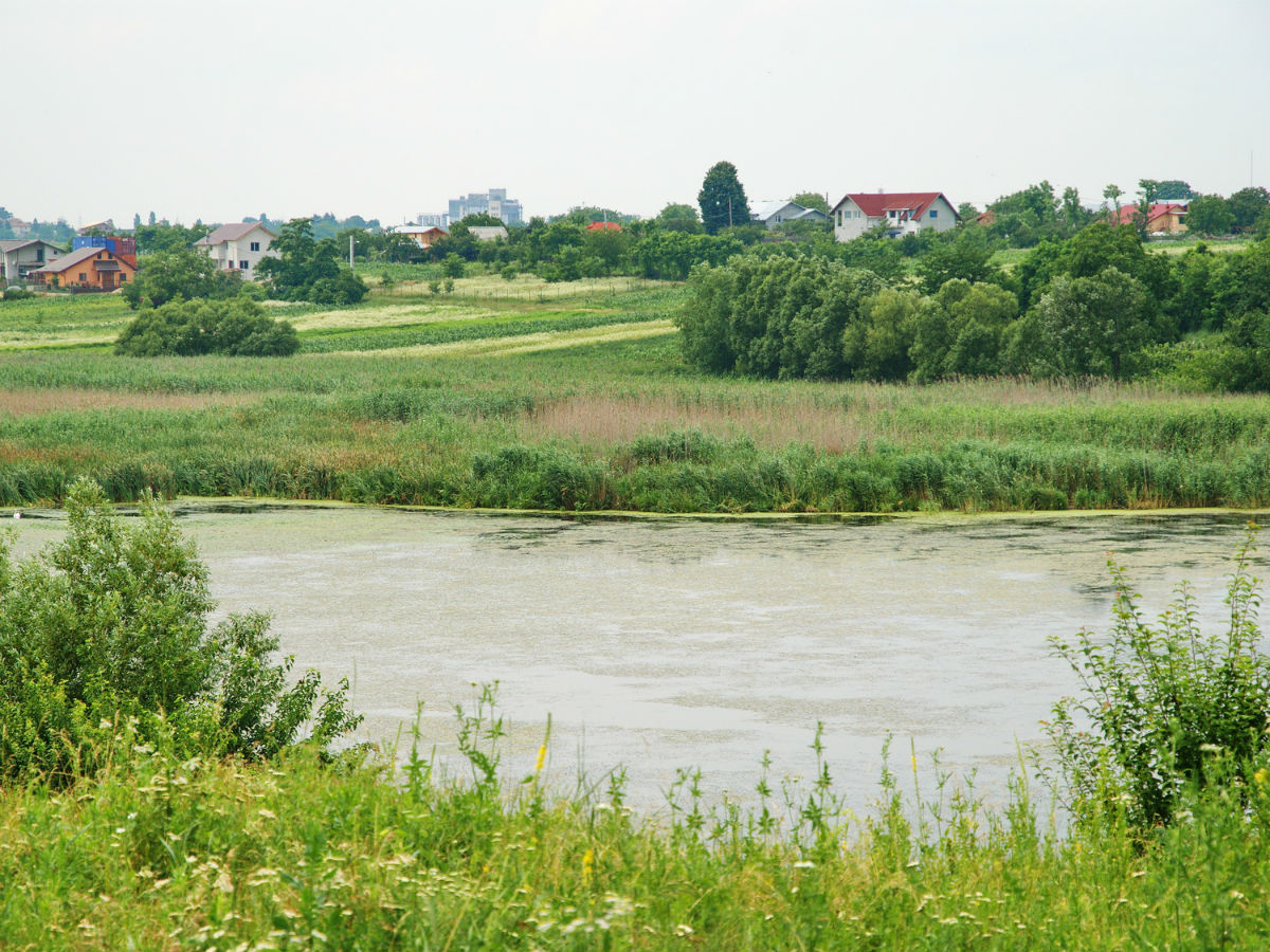 explore snagov monastery